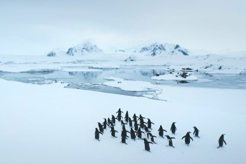 Antarctic convergence