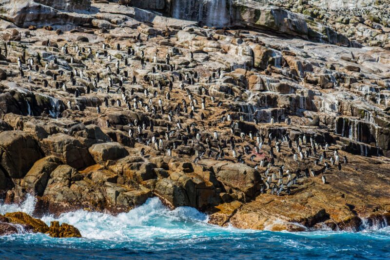 Antipodes Islands