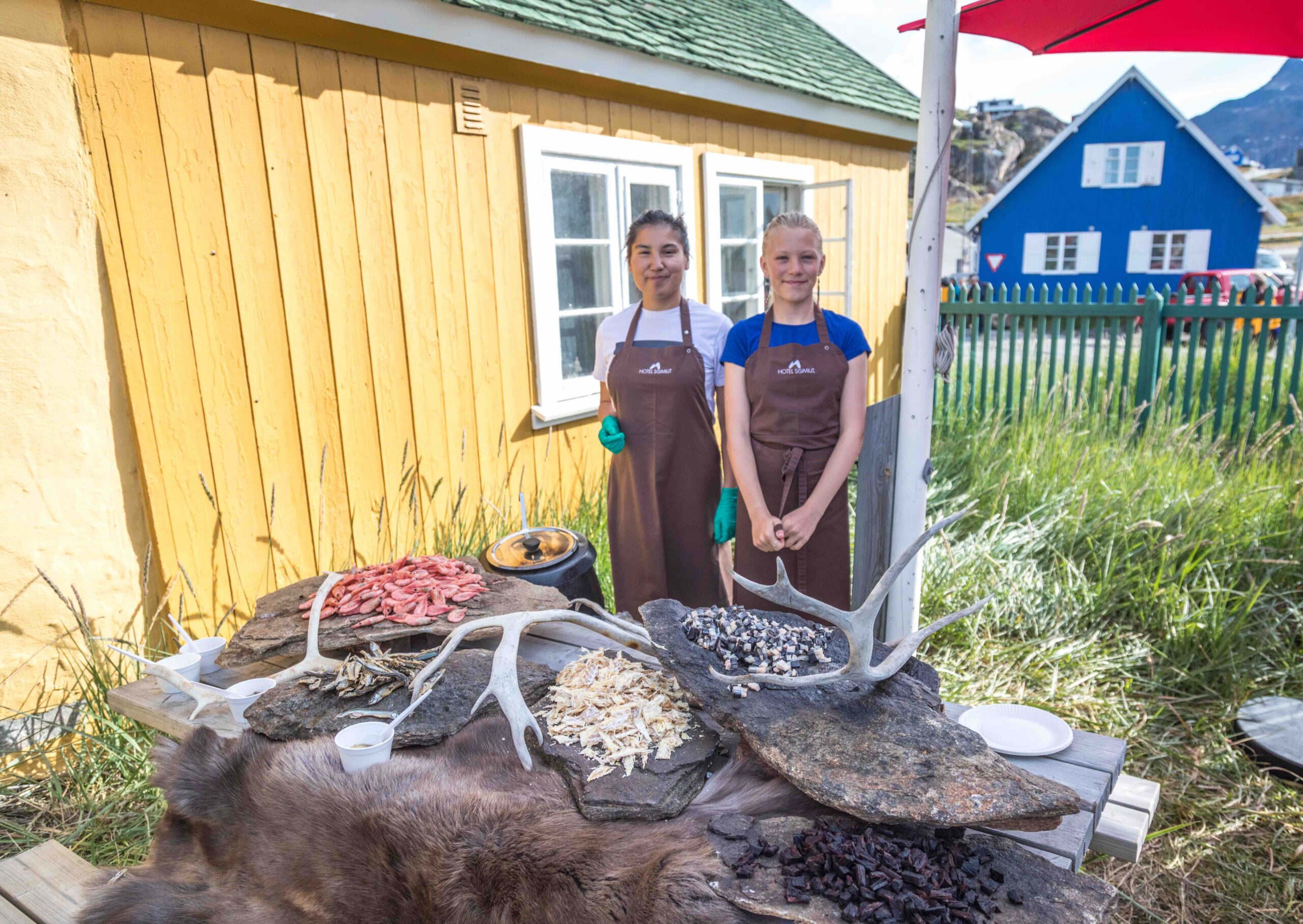 Arctic-Food-tasting-West-Greenland-Quark Food tasting with locals in Greenland