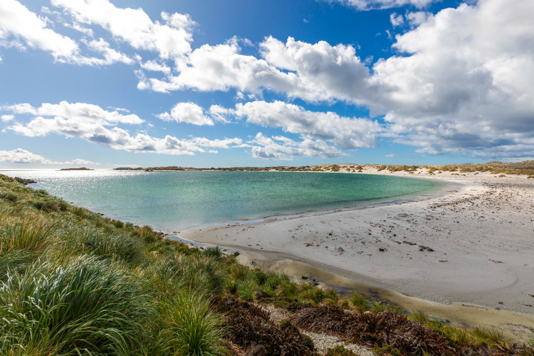 Aurora-Falkland-Islands View of the beach in Falkalnd Islands