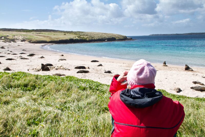 Enderby Island
