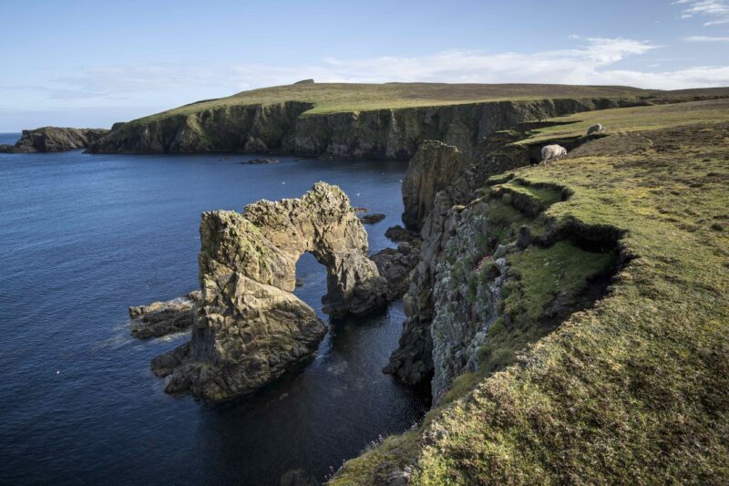 Faroes