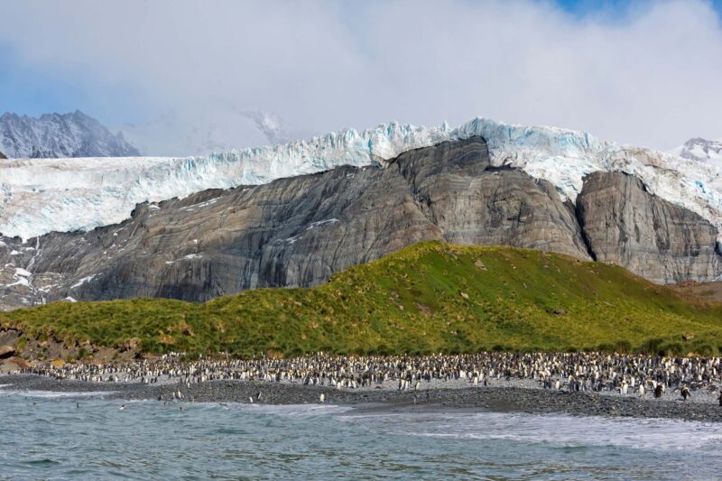 21 Best Places To Visit In South Georgia Island