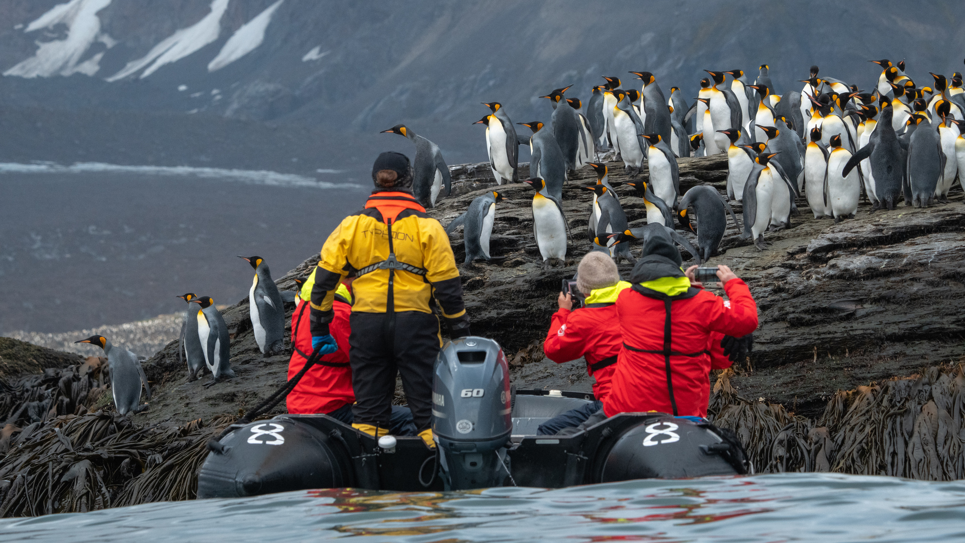 HX-South-Georgia-6 Guests with penguins in South Georgia