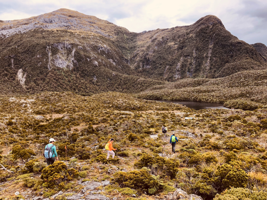 Heritage-New Zealand-32 Hikers in Subantarctic Islands
