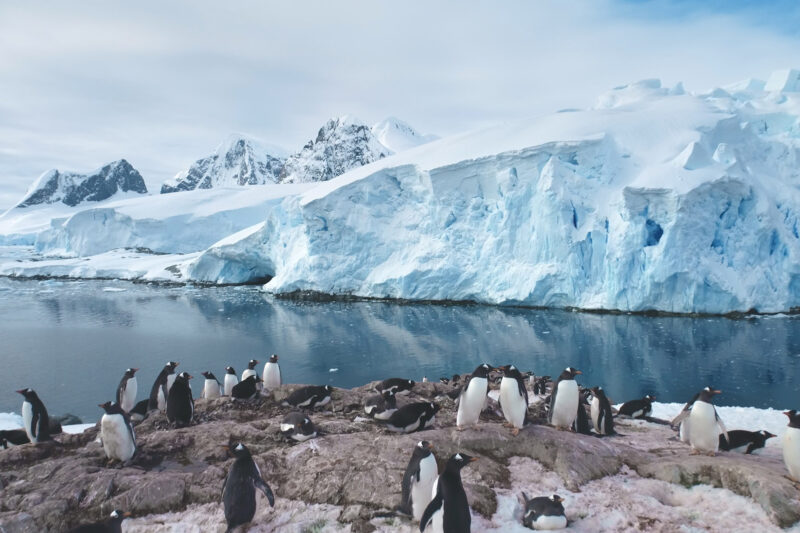 Penguins and glaciers in Antarctica
