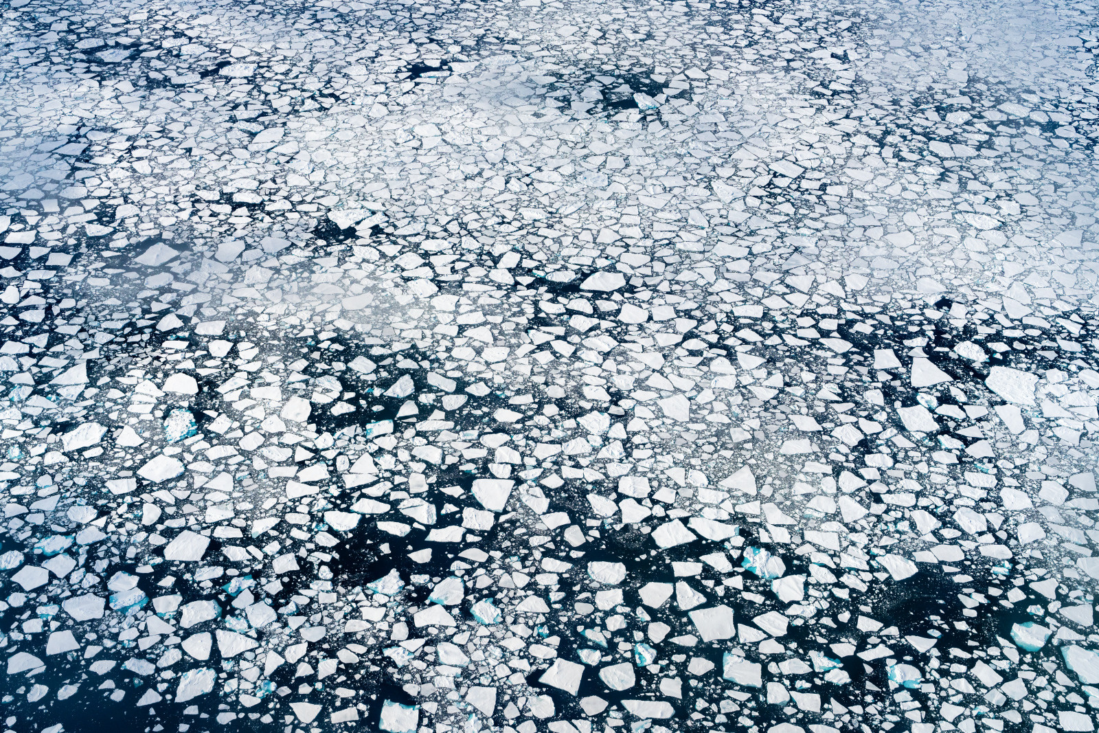 Sea-ice-east-greenland-ponant sea ice