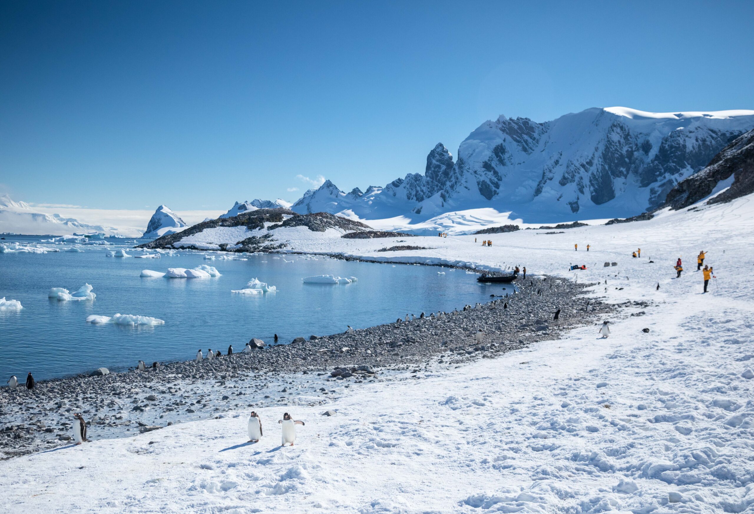 Shore-landing-in-Antarctica--Quark Antarctica shore