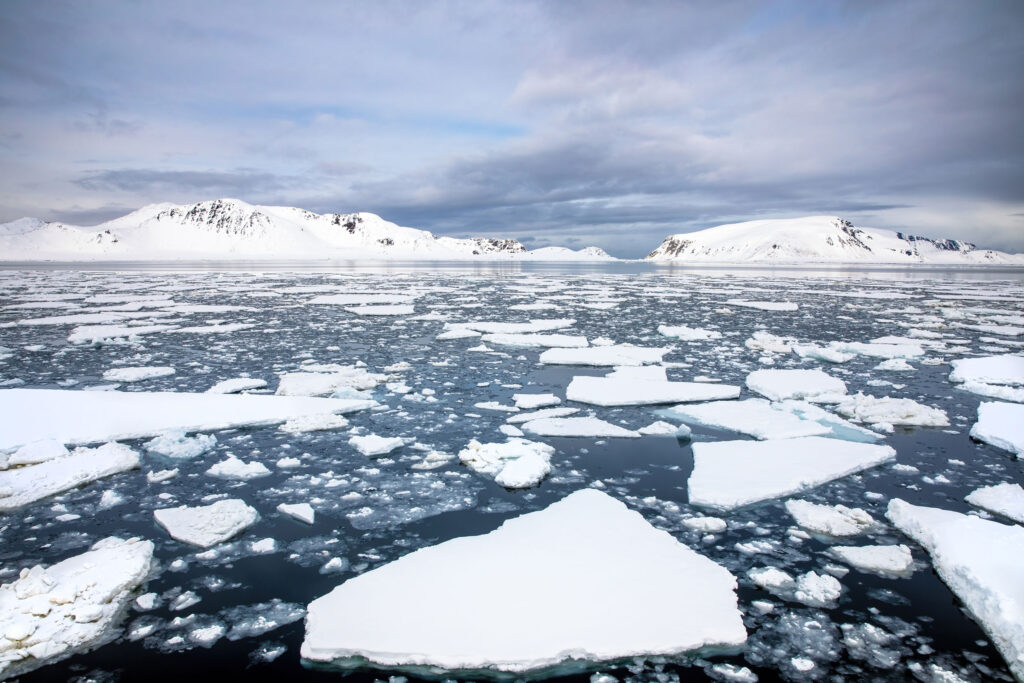 Svalbard seascape with ice