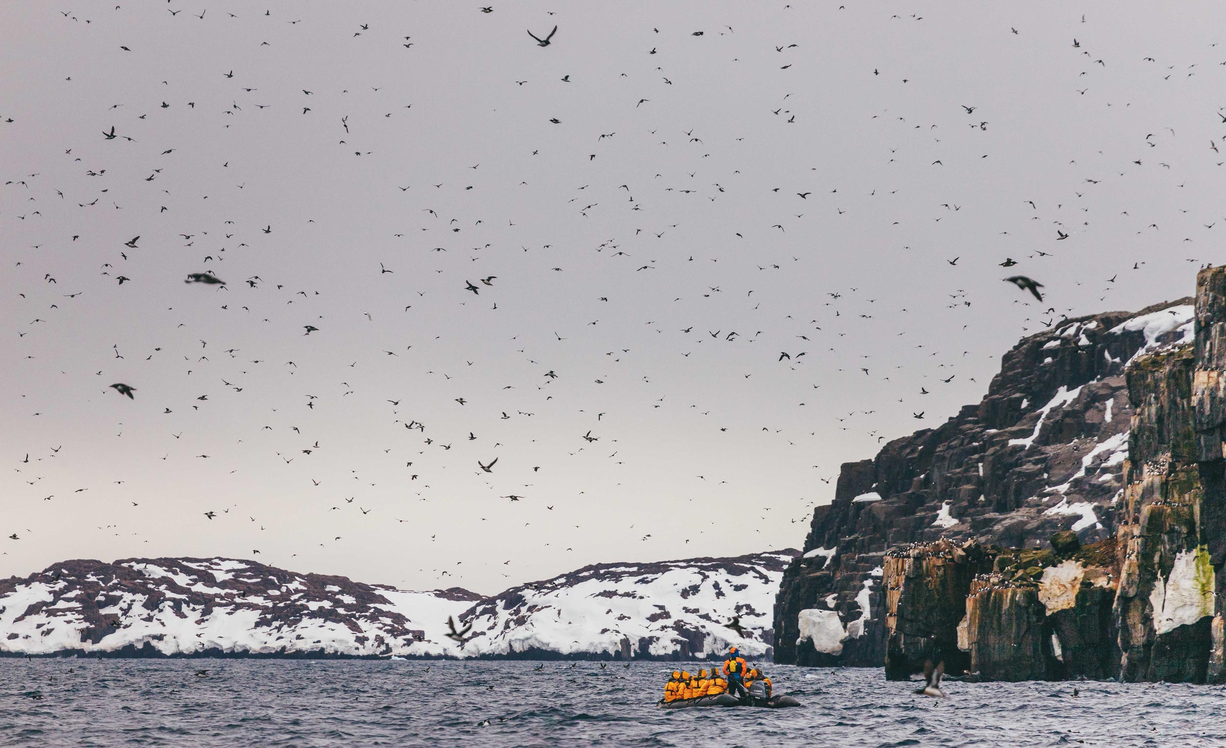 Zodiac-cruise-along-bird-cliffs-Quark Bird cliffs in Svalbard with zodiac