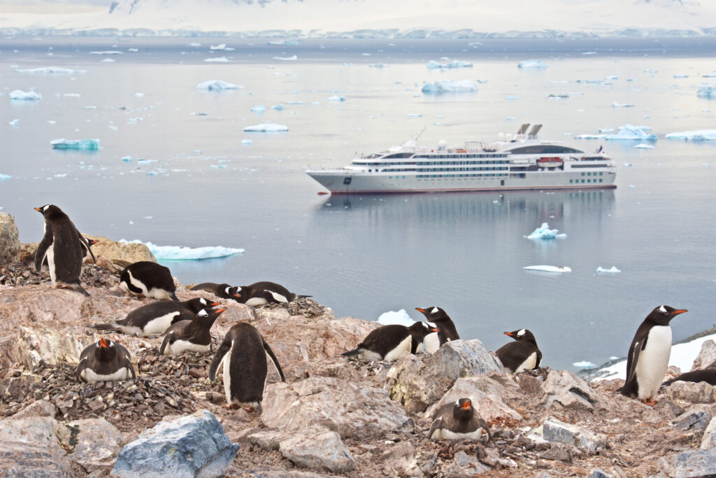 expedition cruise ship in Antarctica with gentoo penguins in the foreground