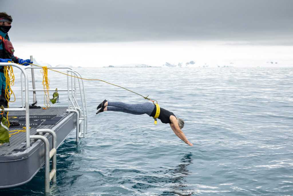 a woman taking a polar plunge from the side of a ship
