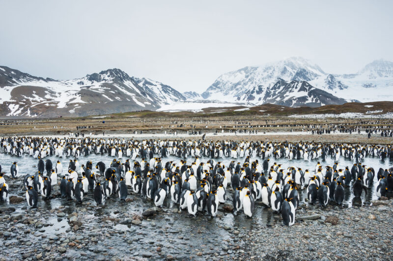 South Georgia Island